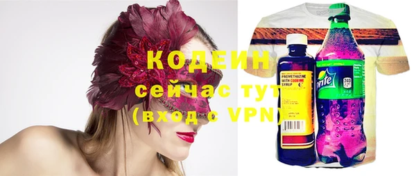 молекула духа Няндома