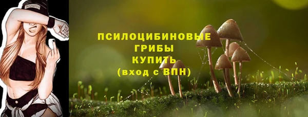 СК Осинники