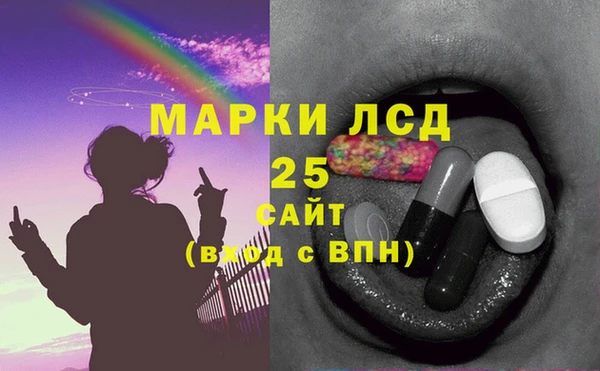 молекула духа Няндома