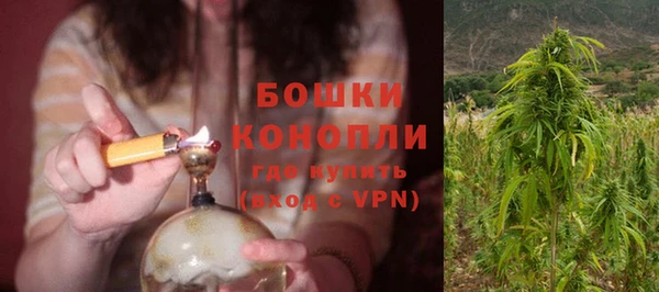 молекула духа Няндома
