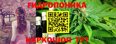 дживик Гагарин