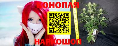 винт Гатчина