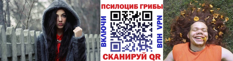 Псилоцибиновые грибы Psilocybine cubensis Киржач