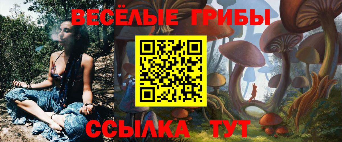 Киржач  Псилоцибиновые грибы MAGIC MUSHROOMS  Вход с VPN 