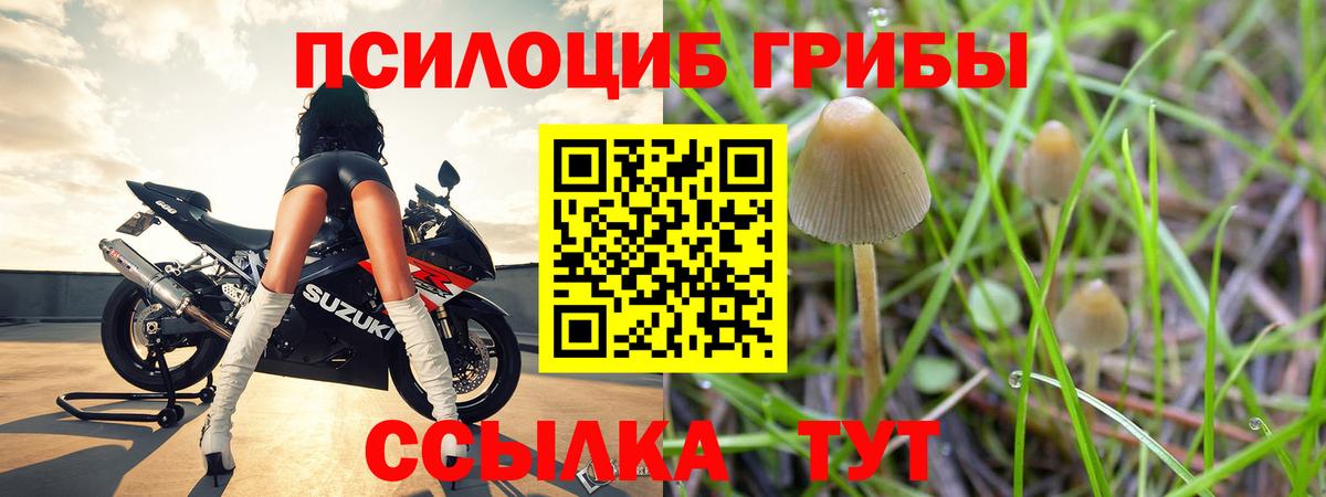 Галлюциногенные грибы MAGIC MUSHROOMS  купить  цена  Псилоцибиновые грибы MAGIC MUSHROOMS  Киржач 