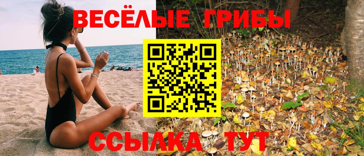 Галлюциногенные грибы мицелий Киржач